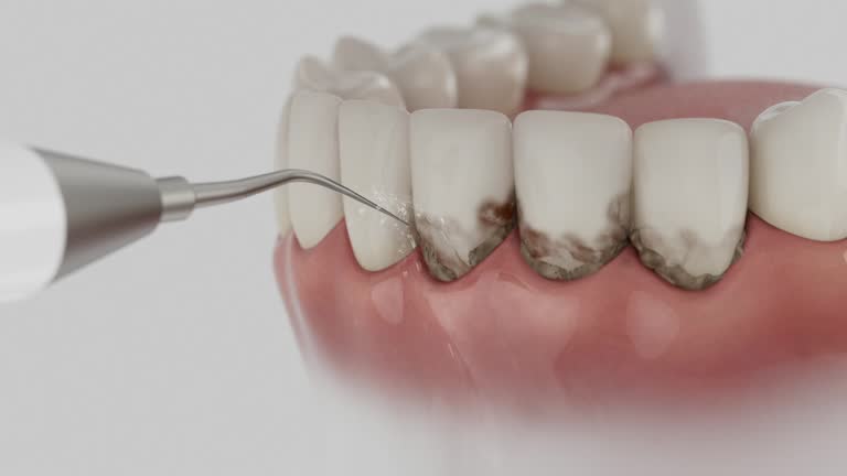 Reliable Dental contractor in Pasadena, TX by Dentist Open Now